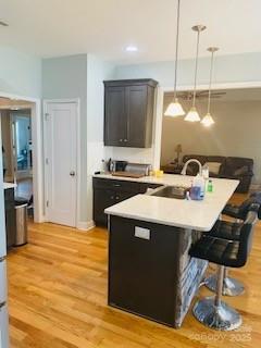 1113 Gillan Drive