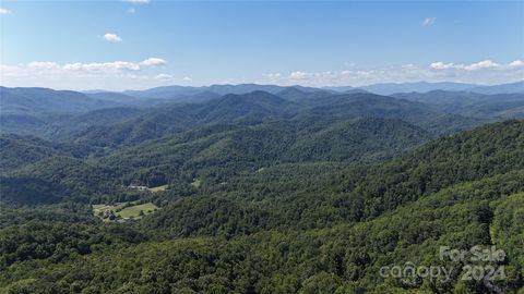 9999 Still Spring Road Black Mountain NC 28711