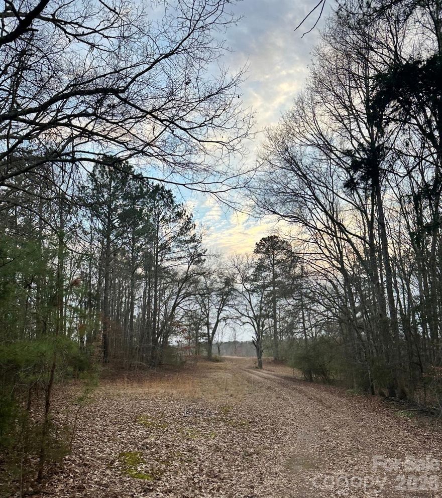 Discover the possibilities with this beautiful 32.769 acres of connected land in the peaceful countryside of Chester, SC, featuring two parcels being sold together (Parcel ID: 040-00-00-138-000 – 18.357 acres & Parcel ID: 040-00-00-006-000 – 14.412 acres).

This property offers a rare combination of prepared land and natural beauty, making it ideal for a private estate, mini-farm, or future development opportunity. One side of the property has already been cleared and bulldozed into two separate fields, complete with a road running alongside, providing easy access and multiple potential homesites.

Parcel ID: 040-00-00-006-000 has significant groundwork that has already been completed, including a current perk test, a 6-inch working well and an established driveway into the property, saving time and expense for the next owner. On the 18-acre tract, a cleared area is ready for a homesite, offering the perfect setting to build your dream home surrounded by privacy and nature.

Whether you’re looking to create a secluded retreat, establish a homestead, or explore investment potential, this property delivers space, versatility, and opportunity in a desirable rural setting.

Don’t miss your chance to own a piece of land where the hard work has already begun—just bring your vision to life.