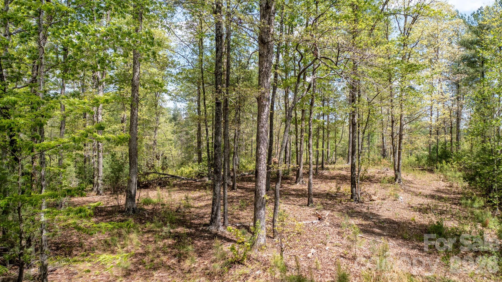 The Waterfront Club - Land