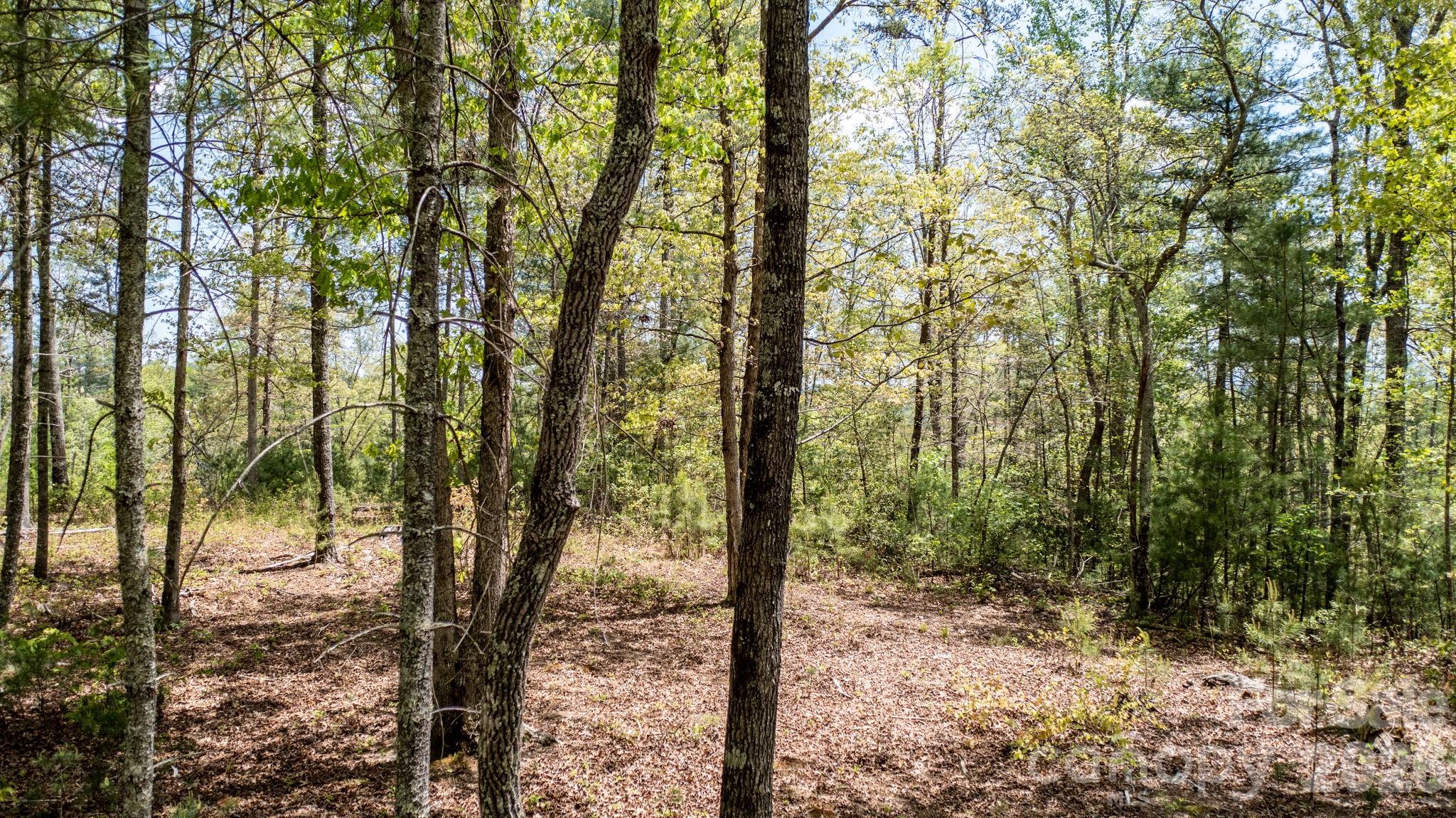 The Waterfront Club - Land