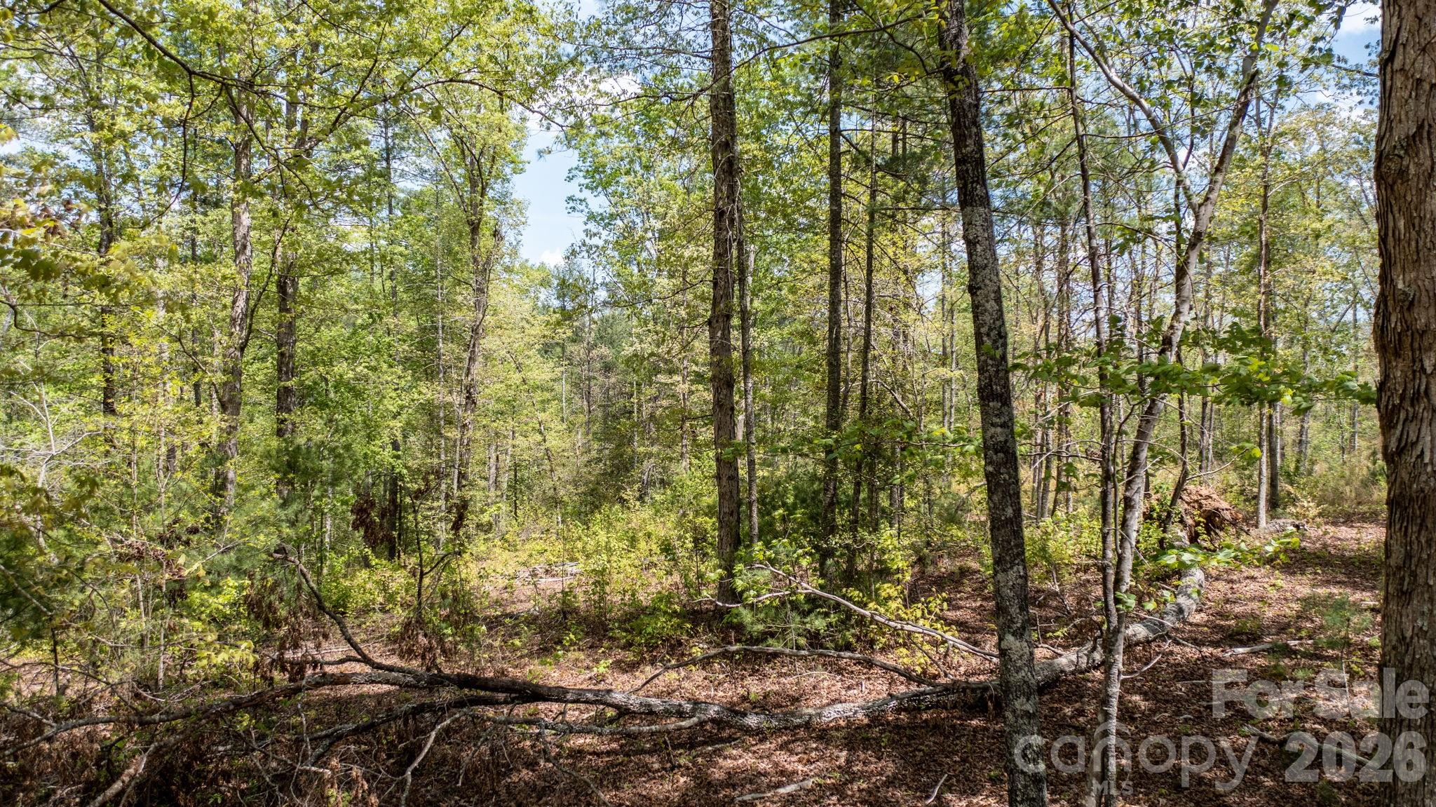 The Waterfront Club - Land