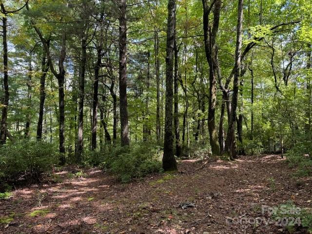 Pathways Of Solomon - Land