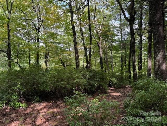 Pathways Of Solomon - Land