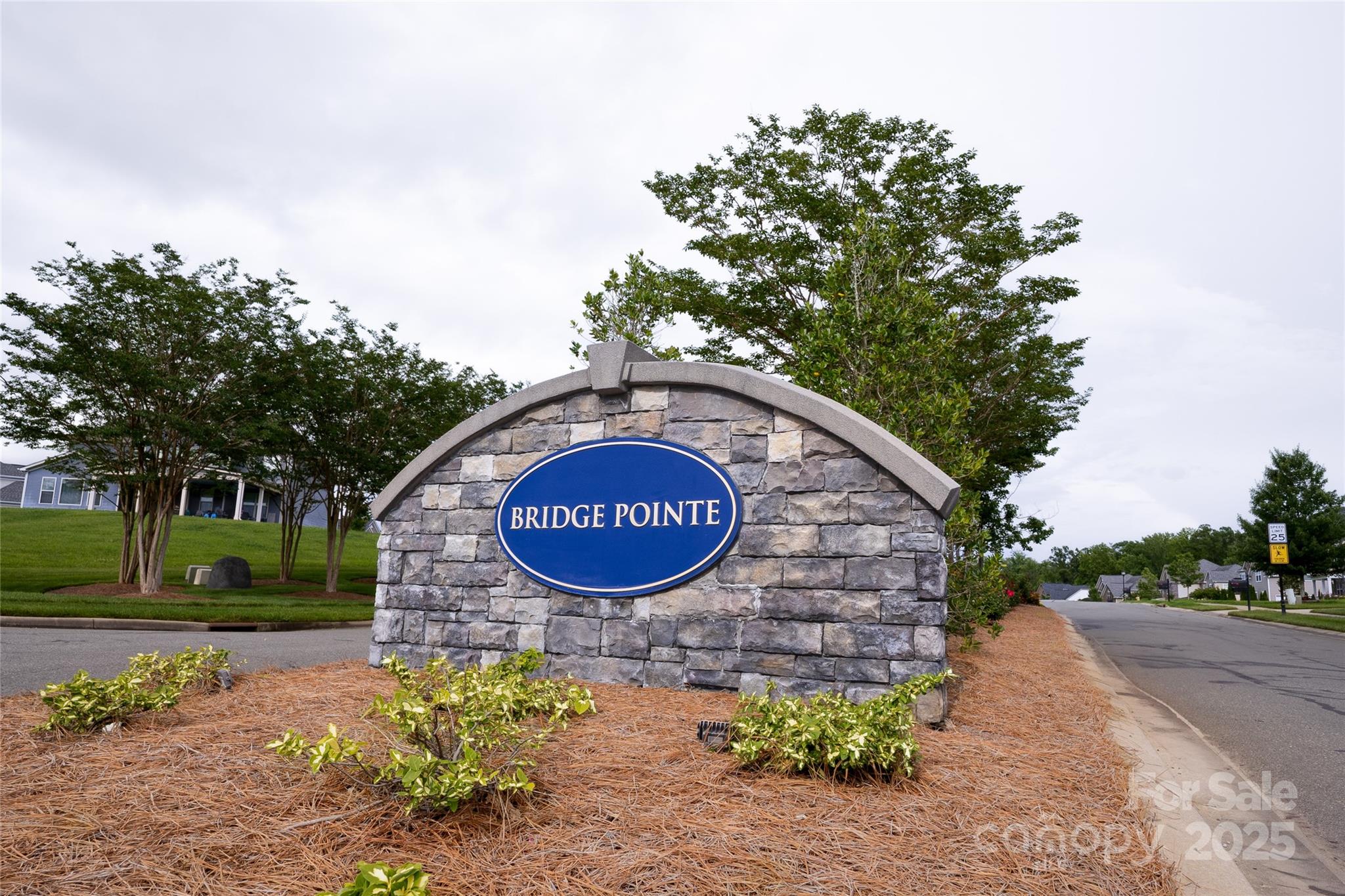 Bridge Pointe - Residential