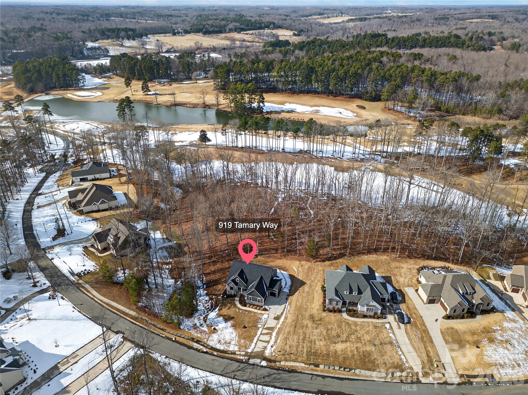 919 Tamary Way