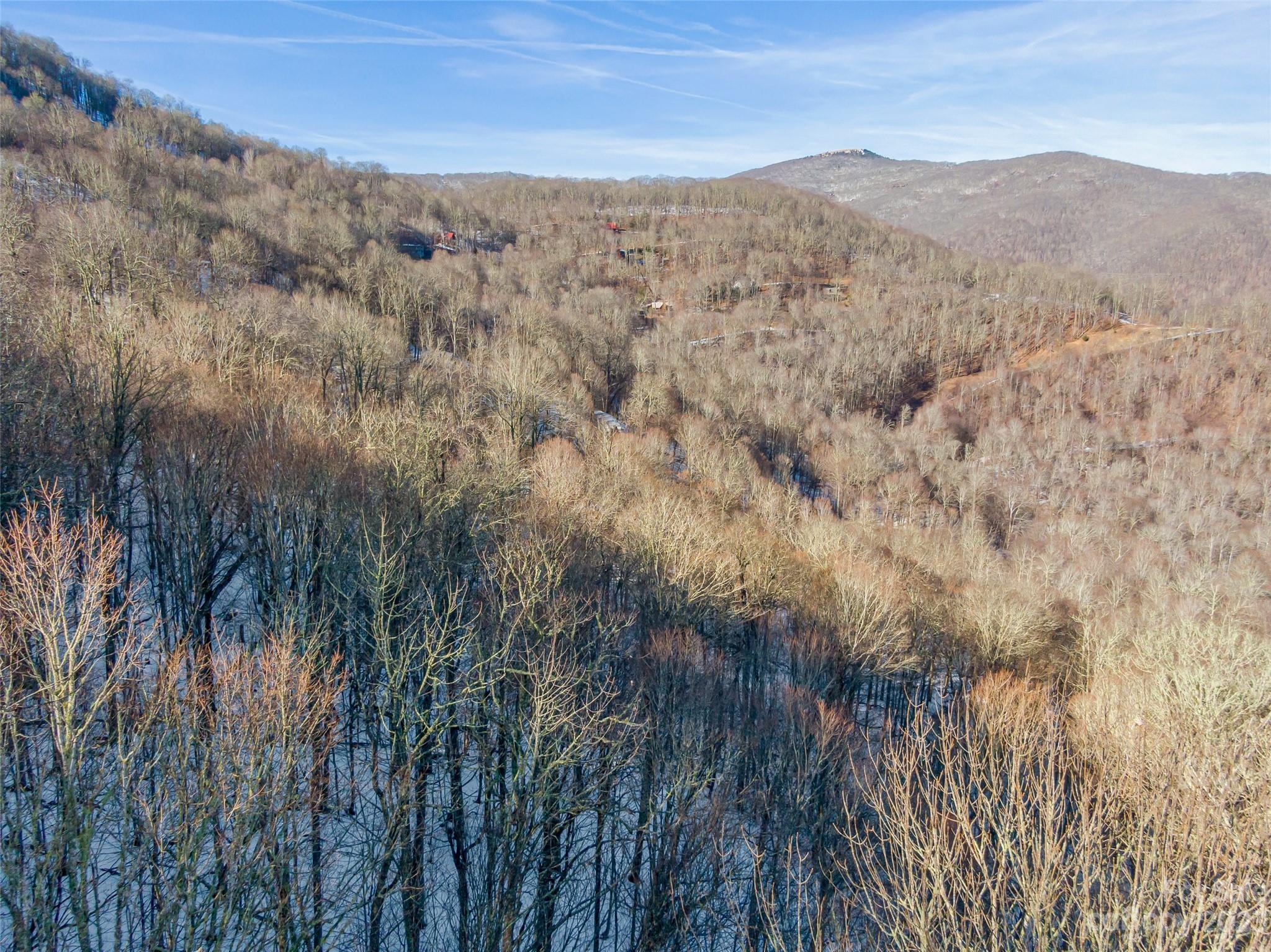 The Preserve at Wolf Laurel - Land