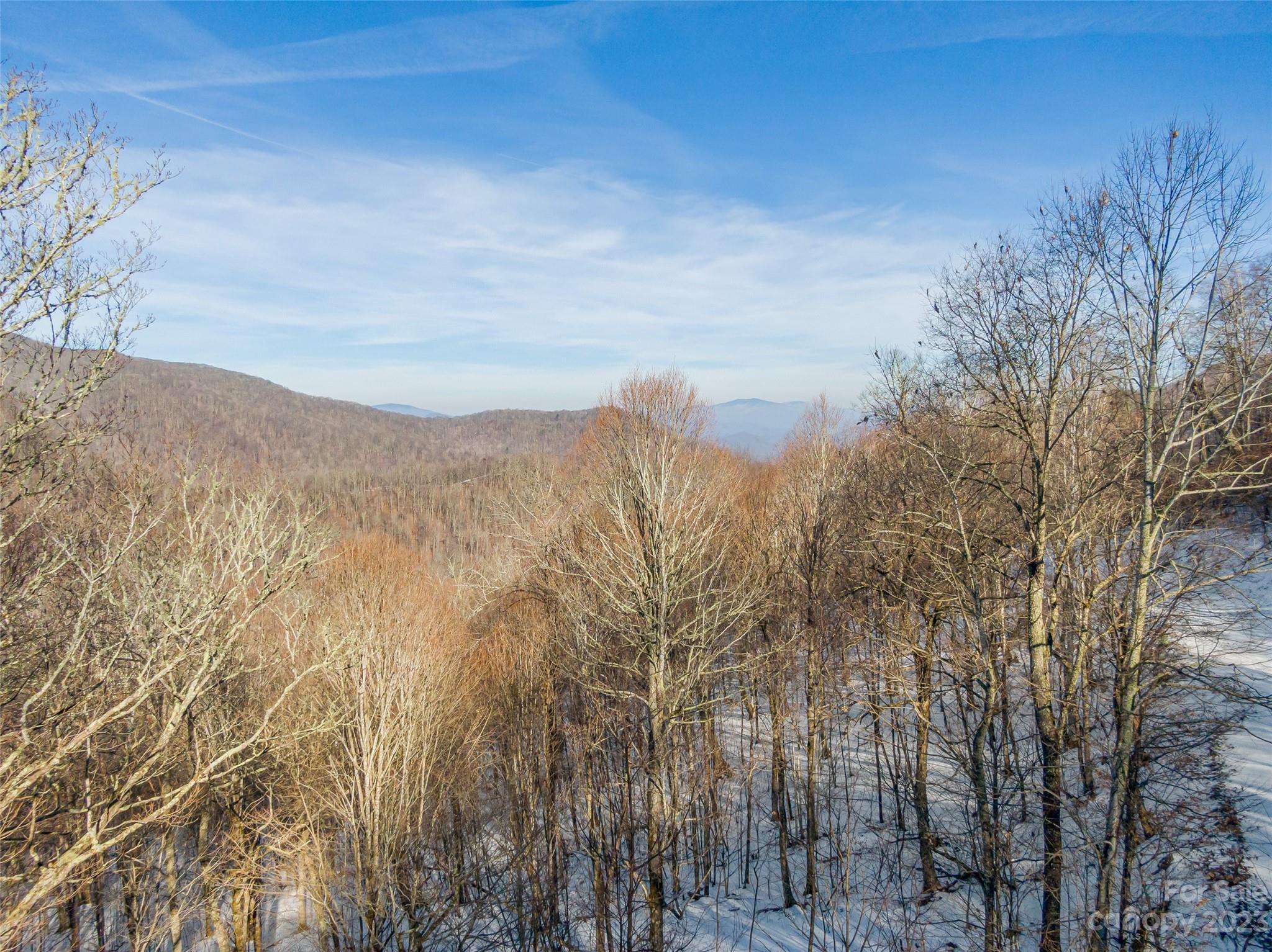 The Preserve at Wolf Laurel - Land