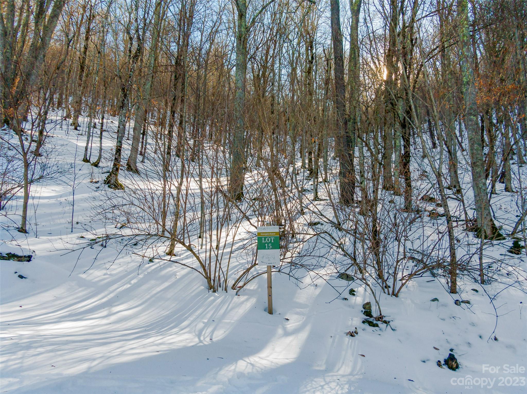 The Preserve at Wolf Laurel - Land