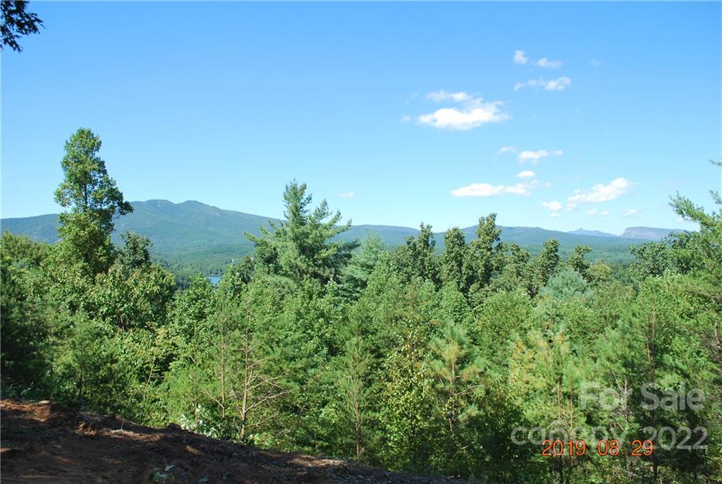 The Arbor at Lake James - Land