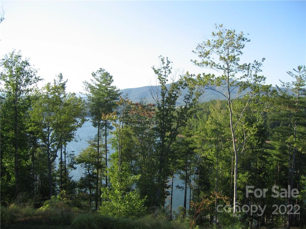 The Arbor at Lake James - Land