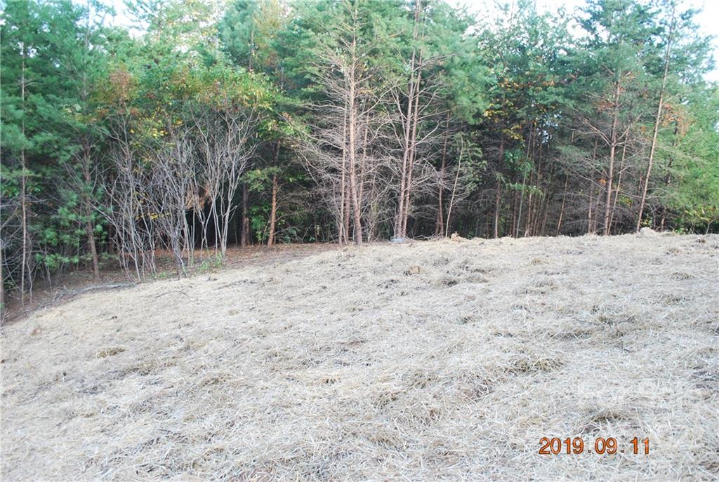 The Arbor at Lake James - Land