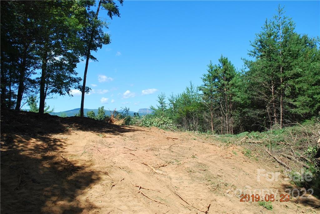 The Arbor at Lake James - Land