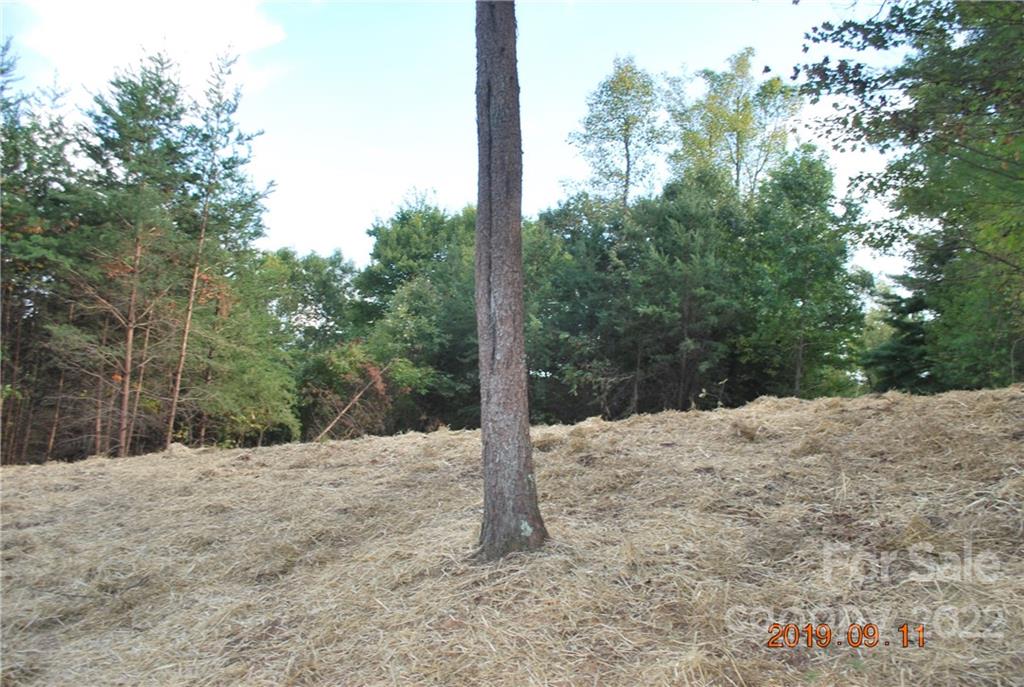 The Arbor at Lake James - Land