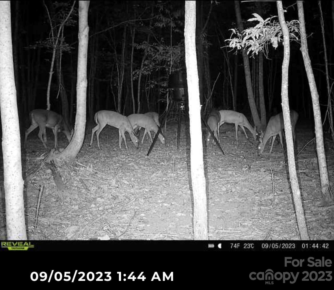 Pinnacles At Unity Grove - Land