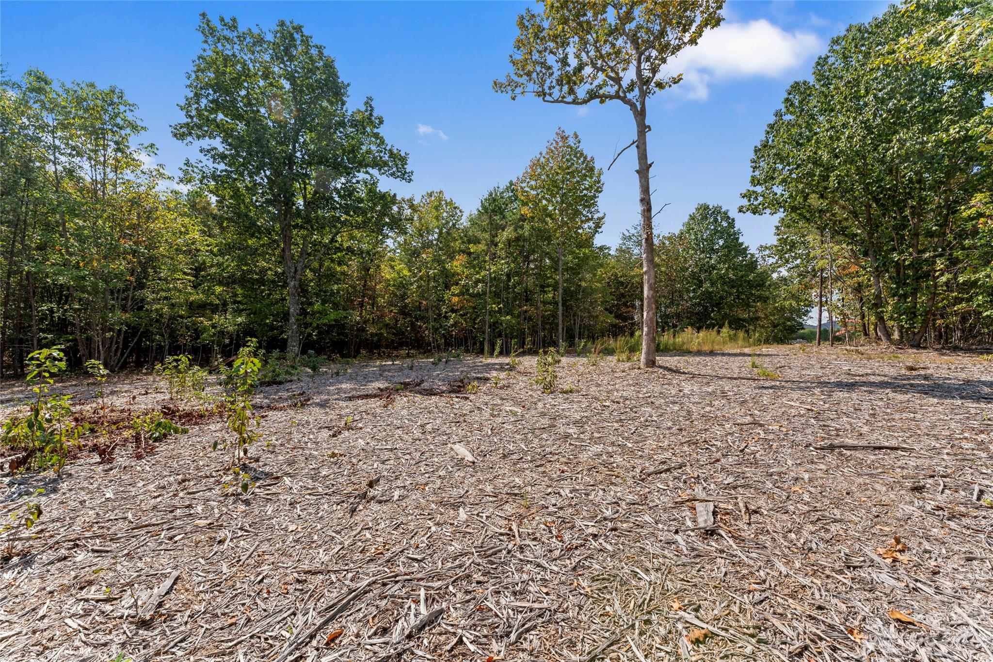 Pinnacles At Unity Grove - Land