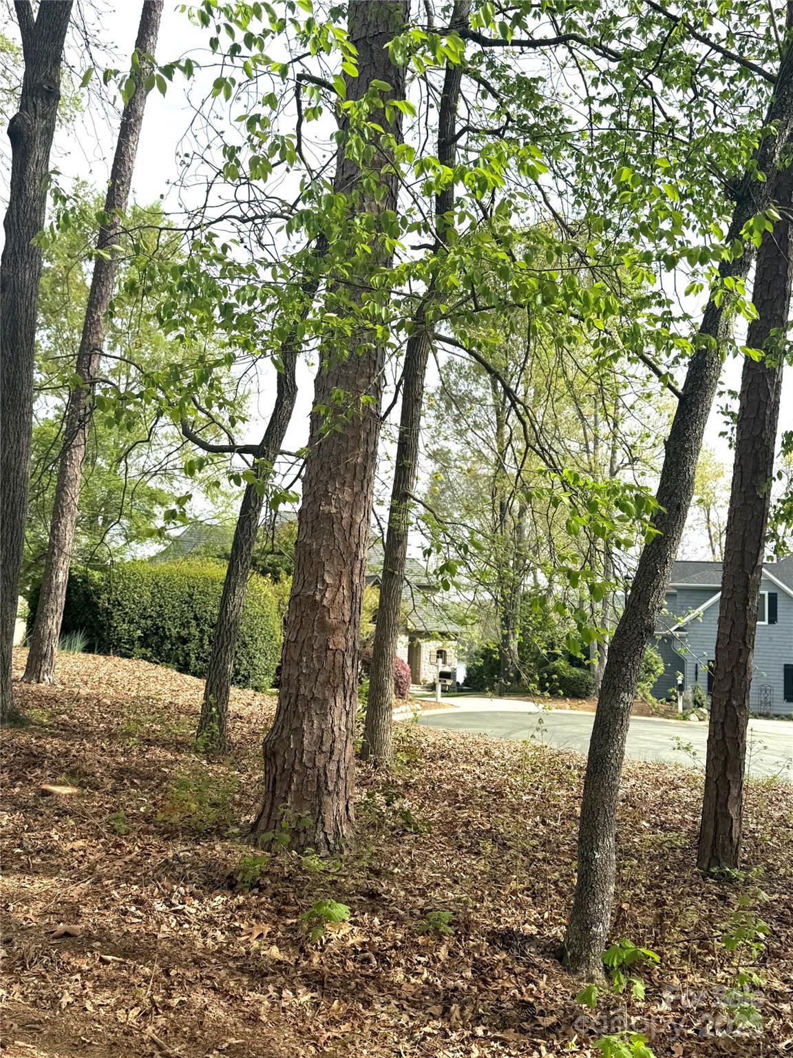 Uwharrie Point - Land