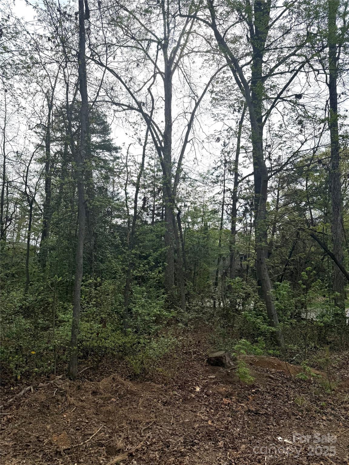 Uwharrie Point - Land