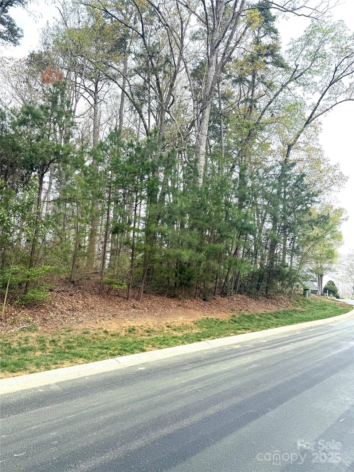 Uwharrie Point - Land