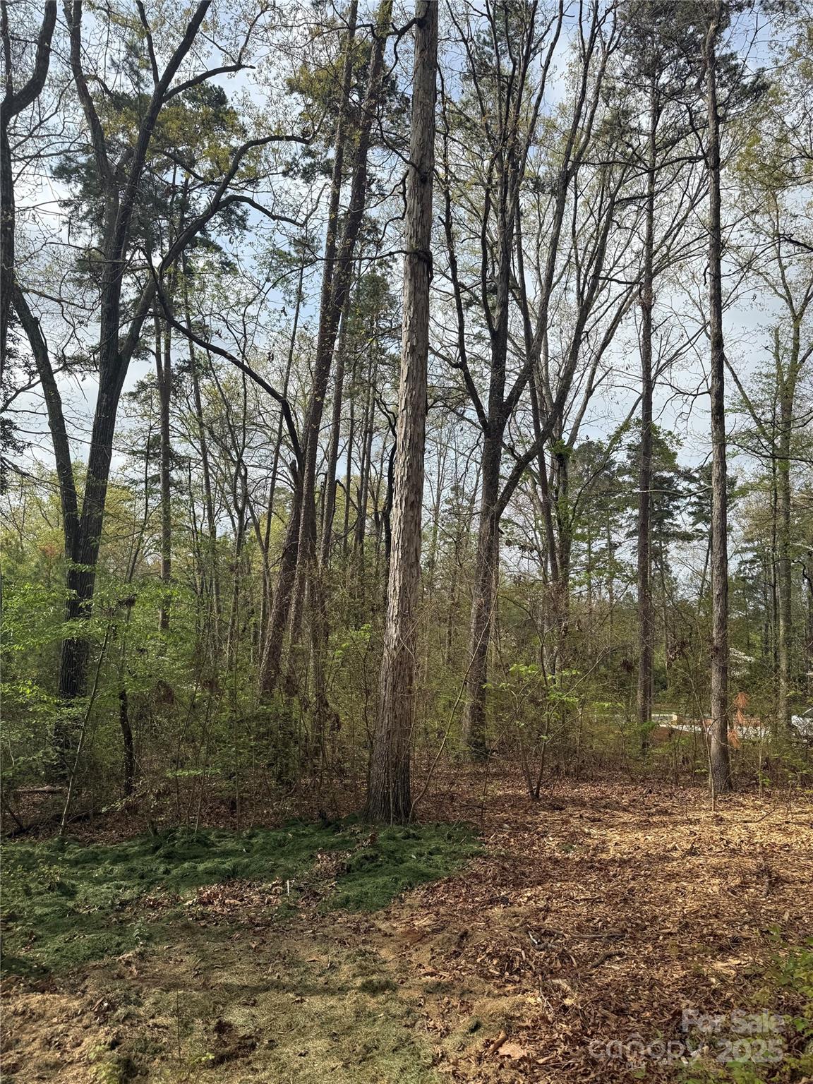 Uwharrie Point - Land