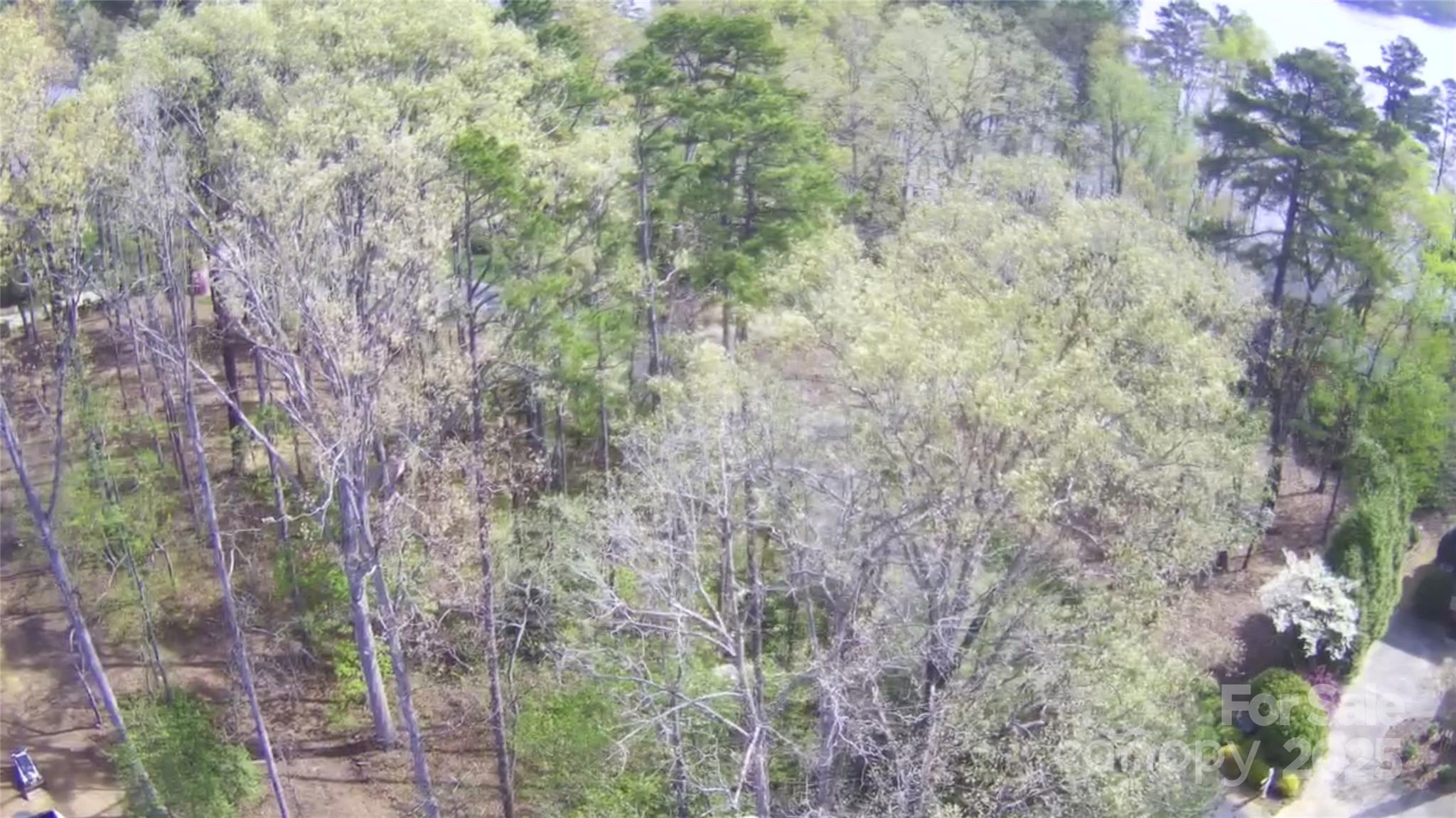 Uwharrie Point - Land