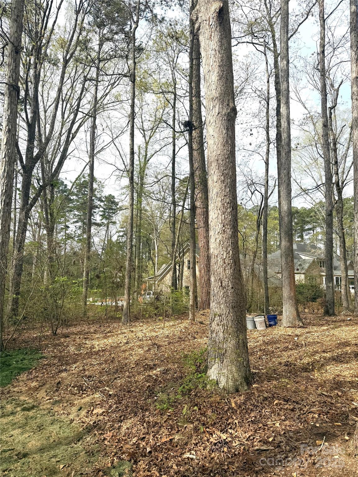 Uwharrie Point - Land