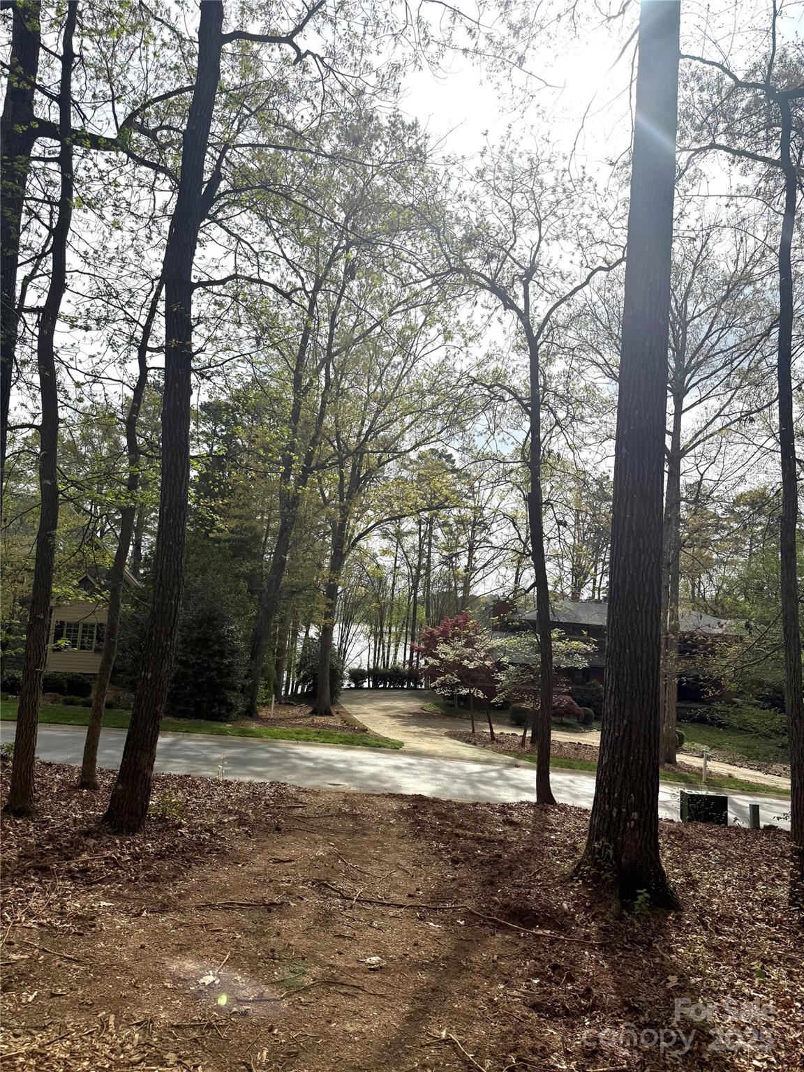 Uwharrie Point - Land