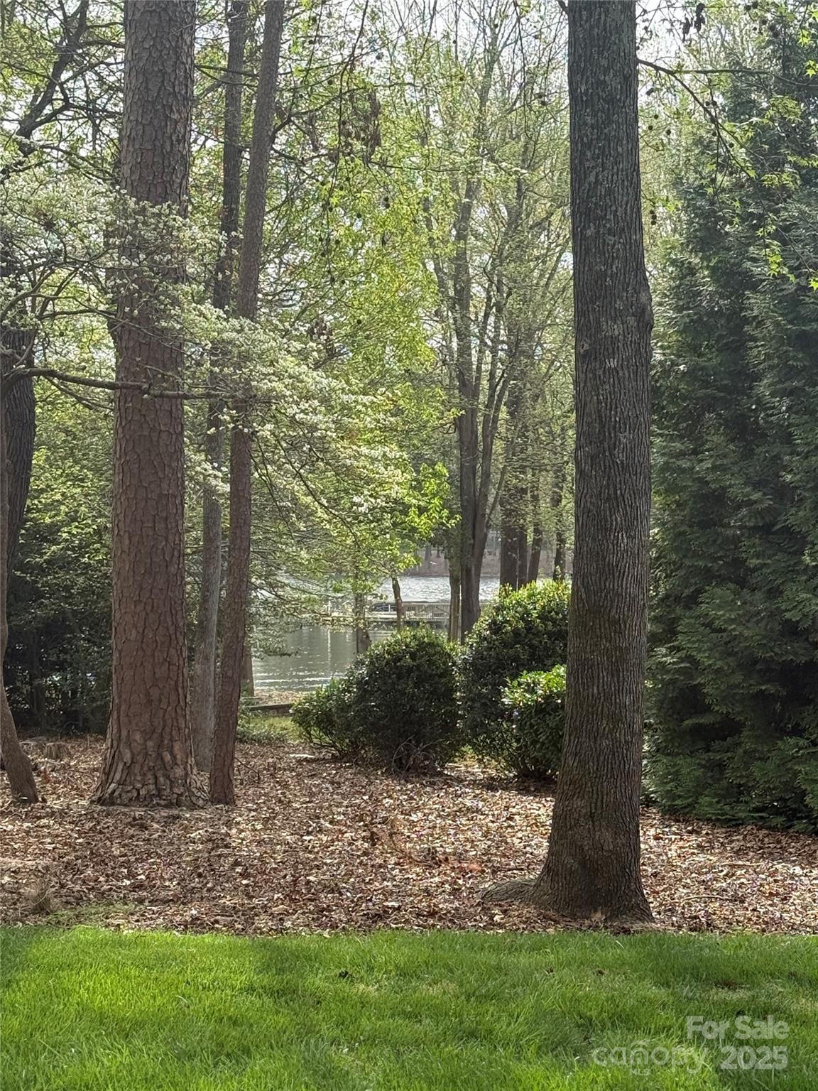 Uwharrie Point - Land