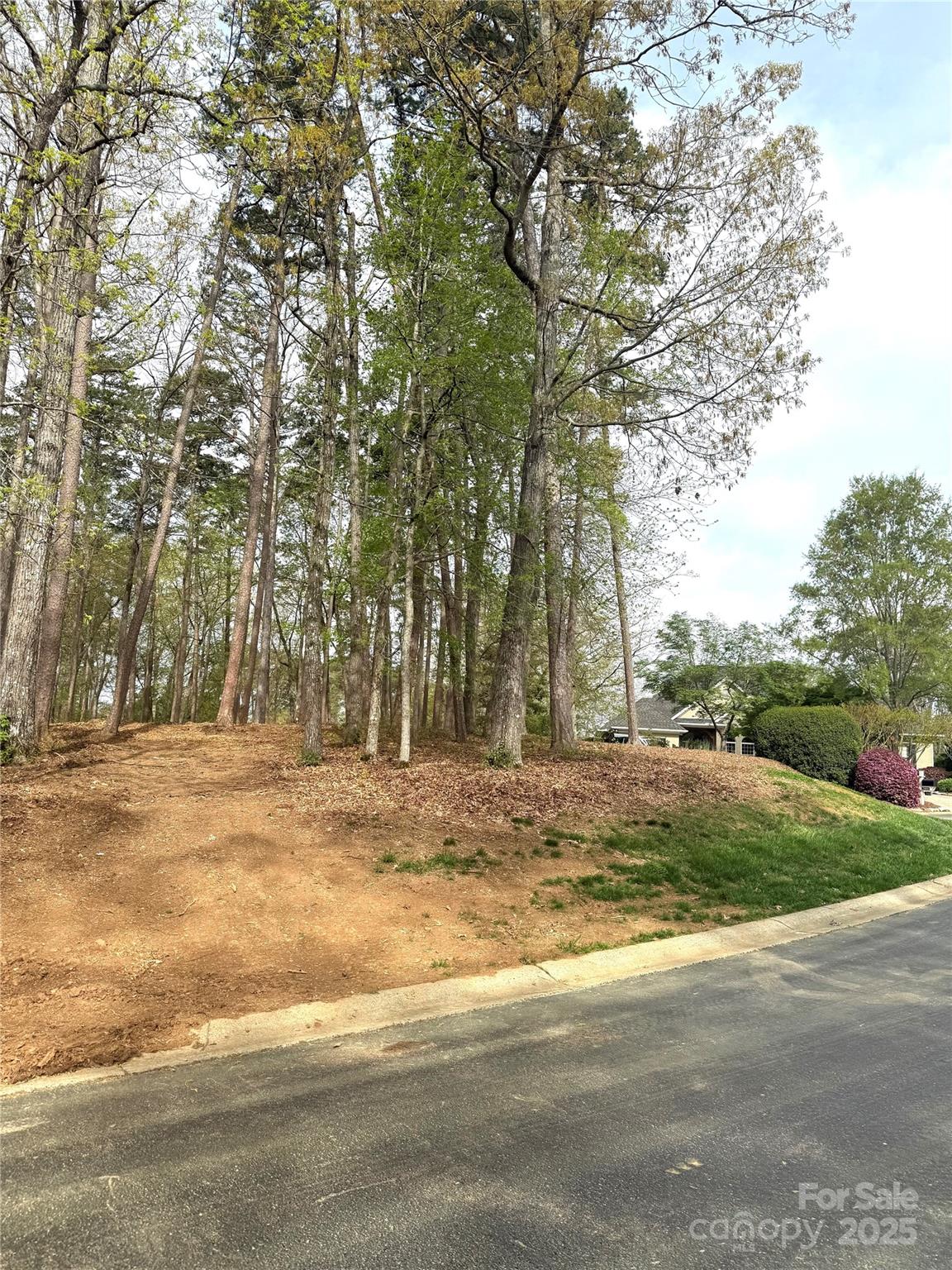 Uwharrie Point - Land