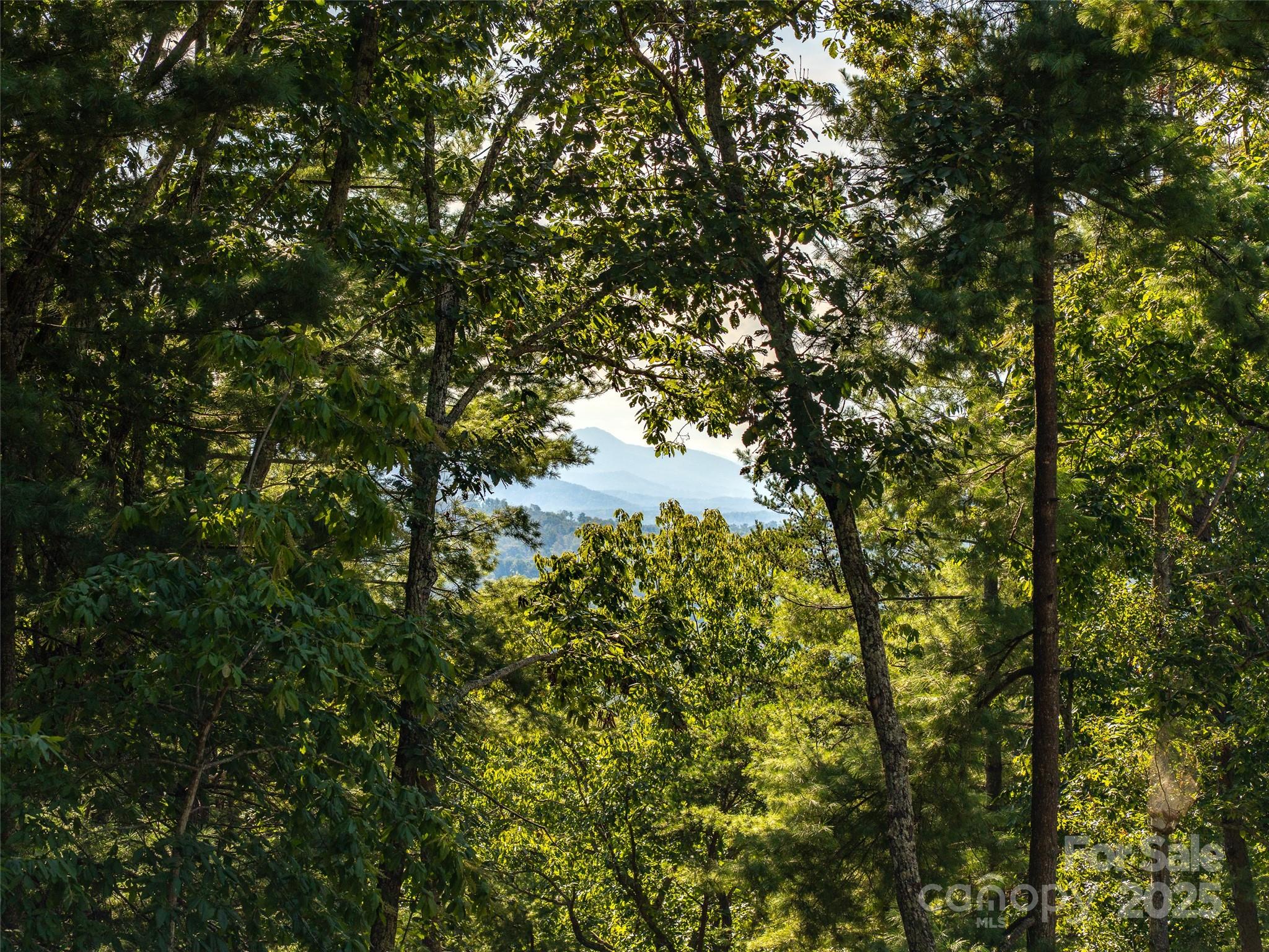 99999 Avondale Ridge Road