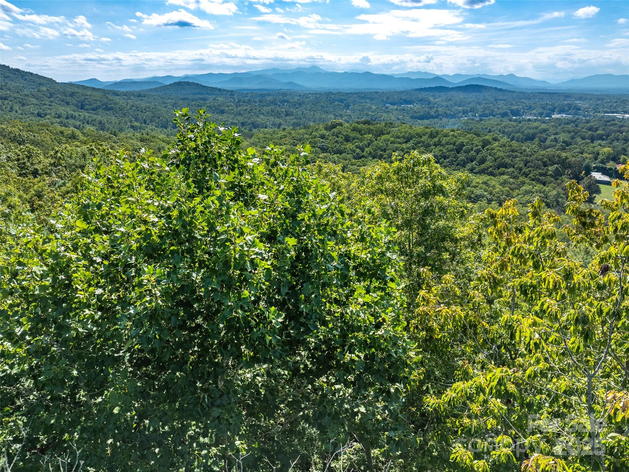 99999 Avondale Ridge Road