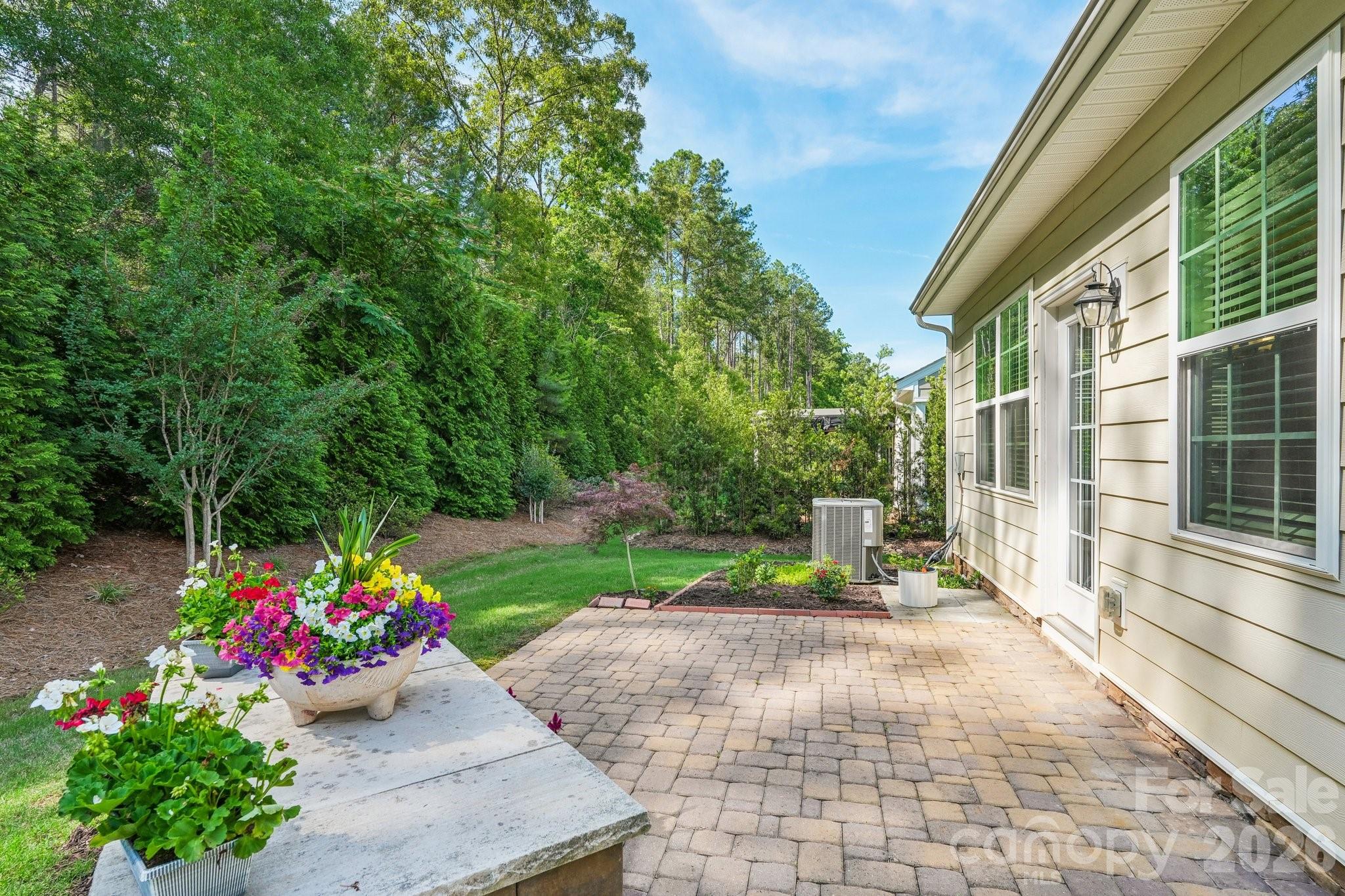 Imagery on Mtn Island - Residential