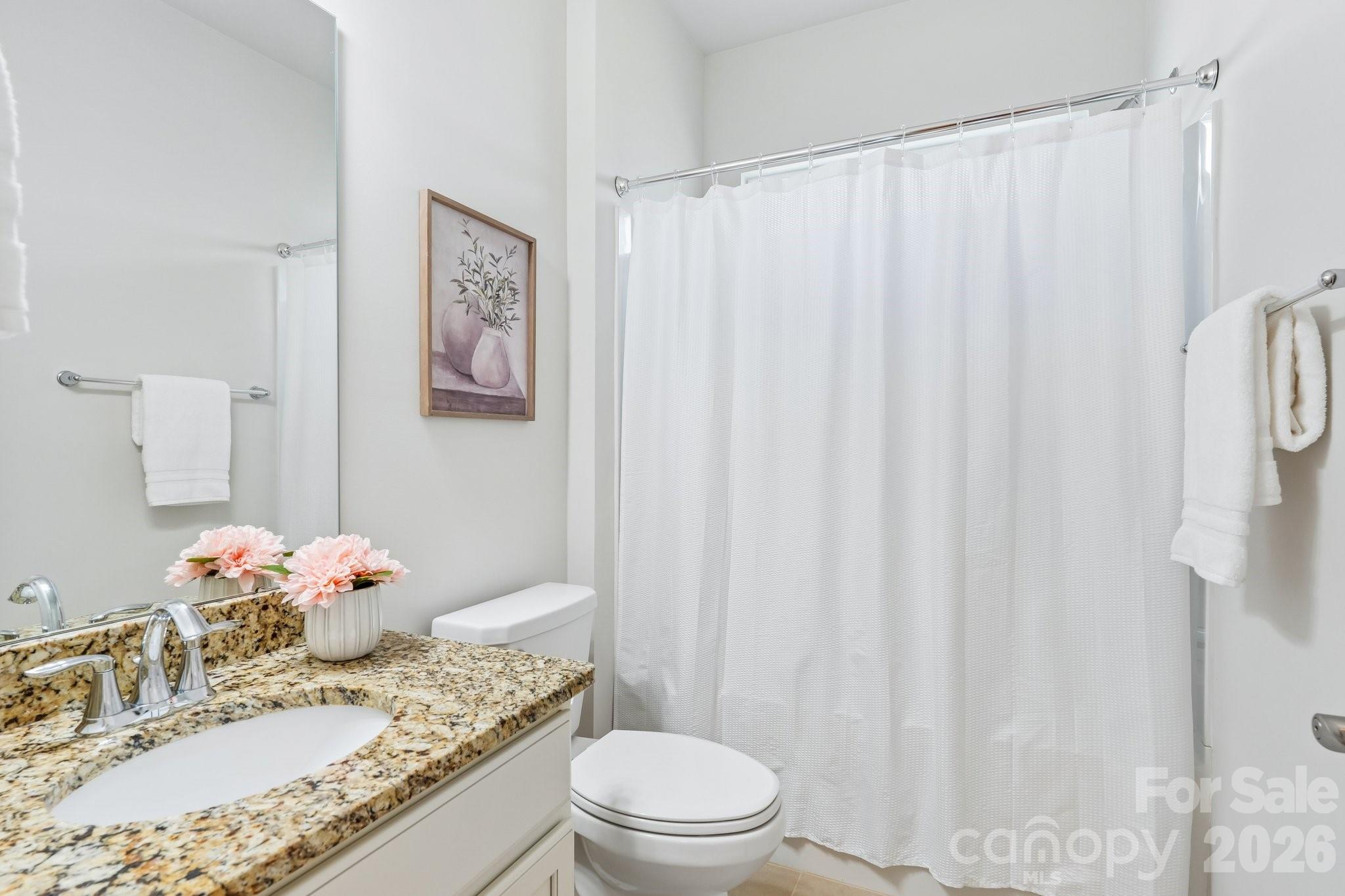 Imagery on Mtn Island - Residential