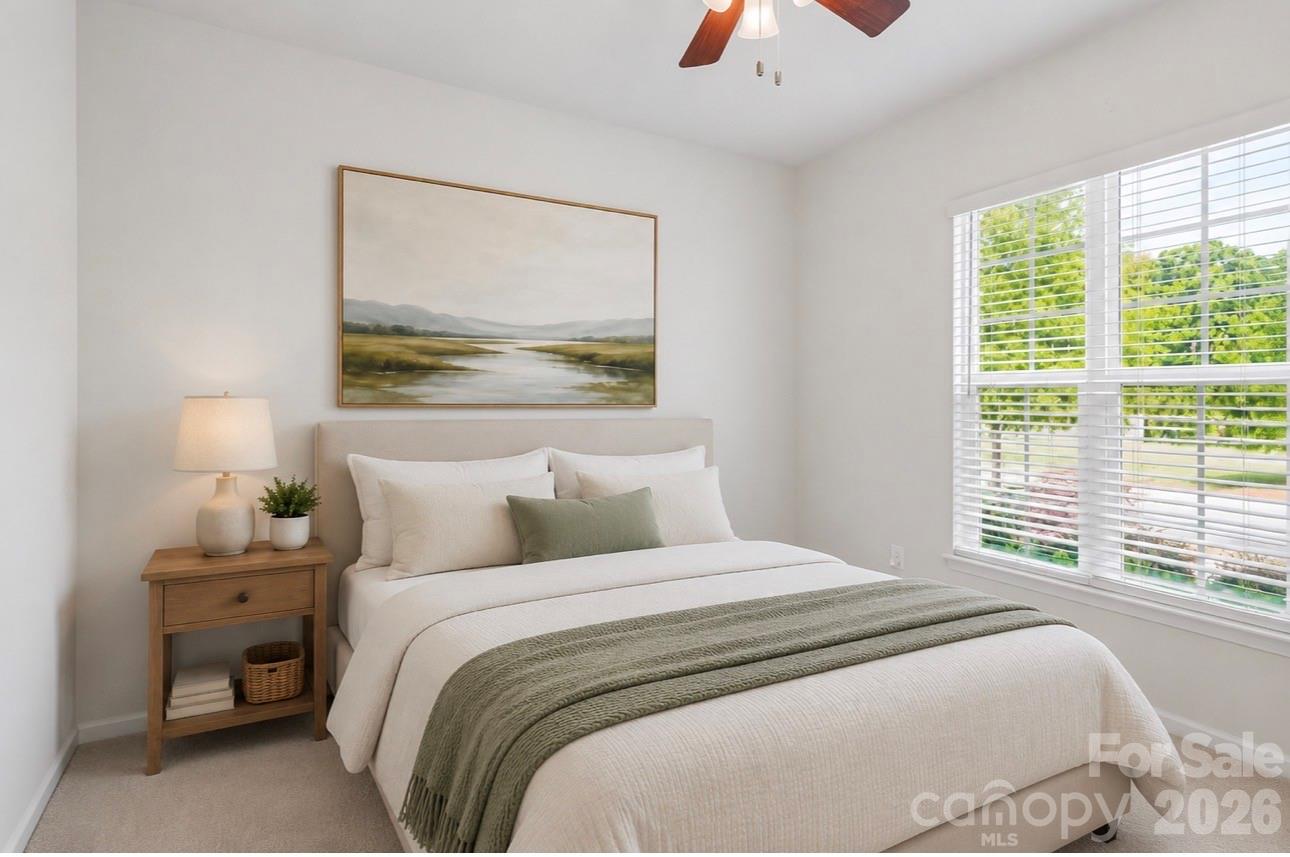 Imagery on Mtn Island - Residential