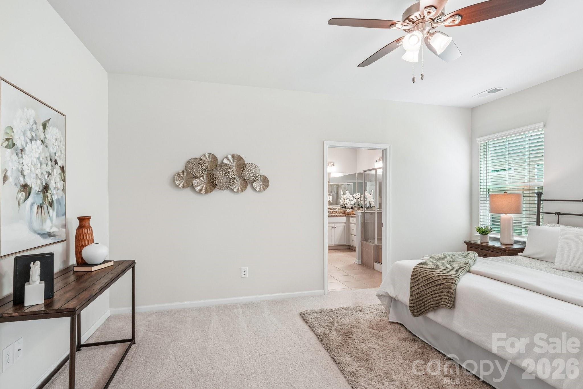 Imagery on Mtn Island - Residential