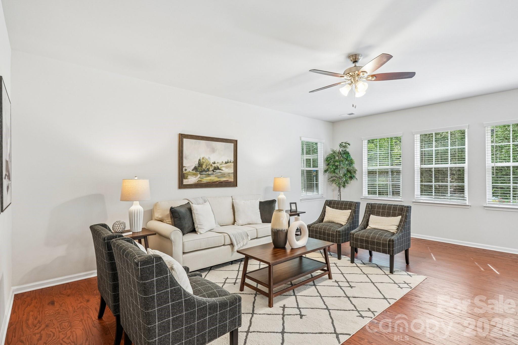 Imagery on Mtn Island - Residential