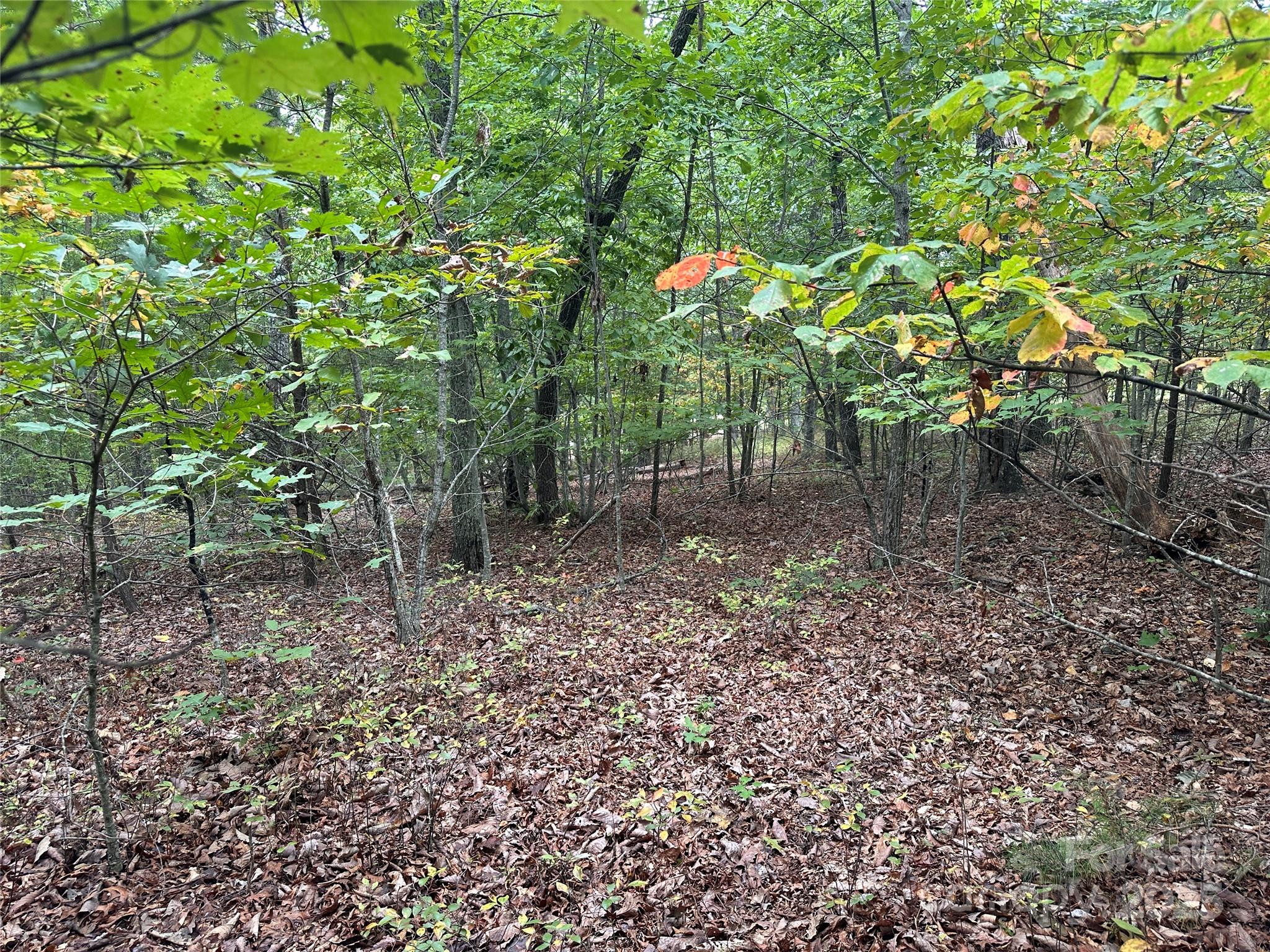 333 Mossy Oak Trail 164