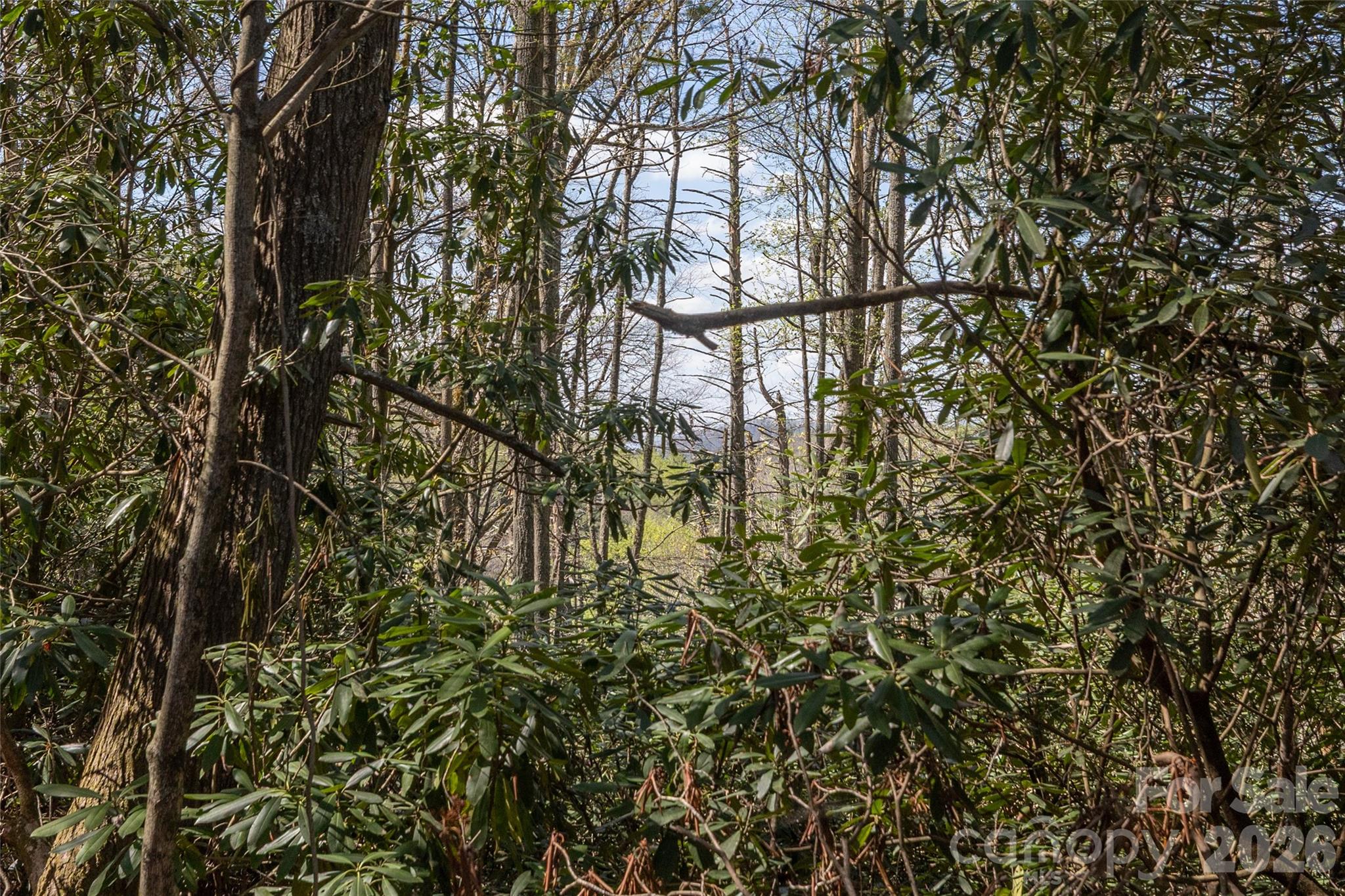 4419 Flat Mountain Road