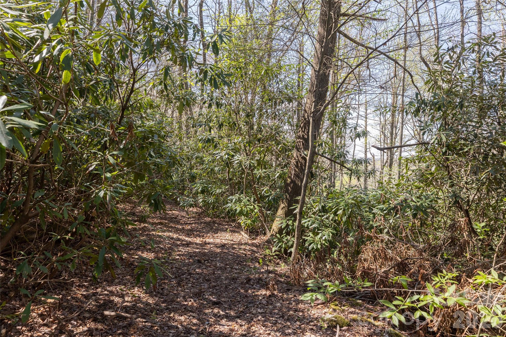4419 Flat Mountain Road