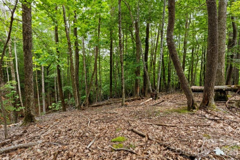 Photo of 203 Sourwood Lane #186, Beech Mountain, NC 28604 (MLS # 4414621)
