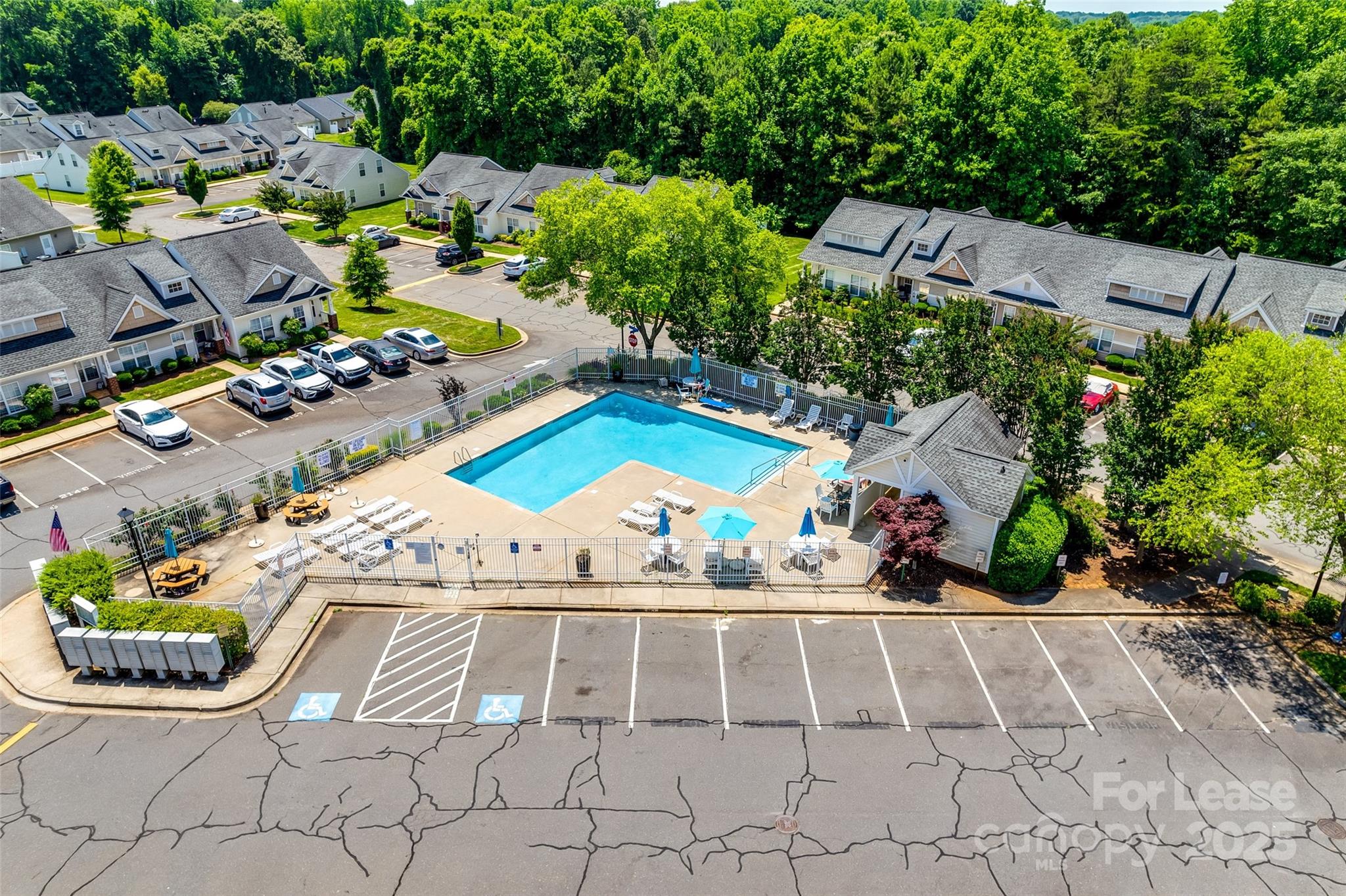 Olde Towne - Residential Lease