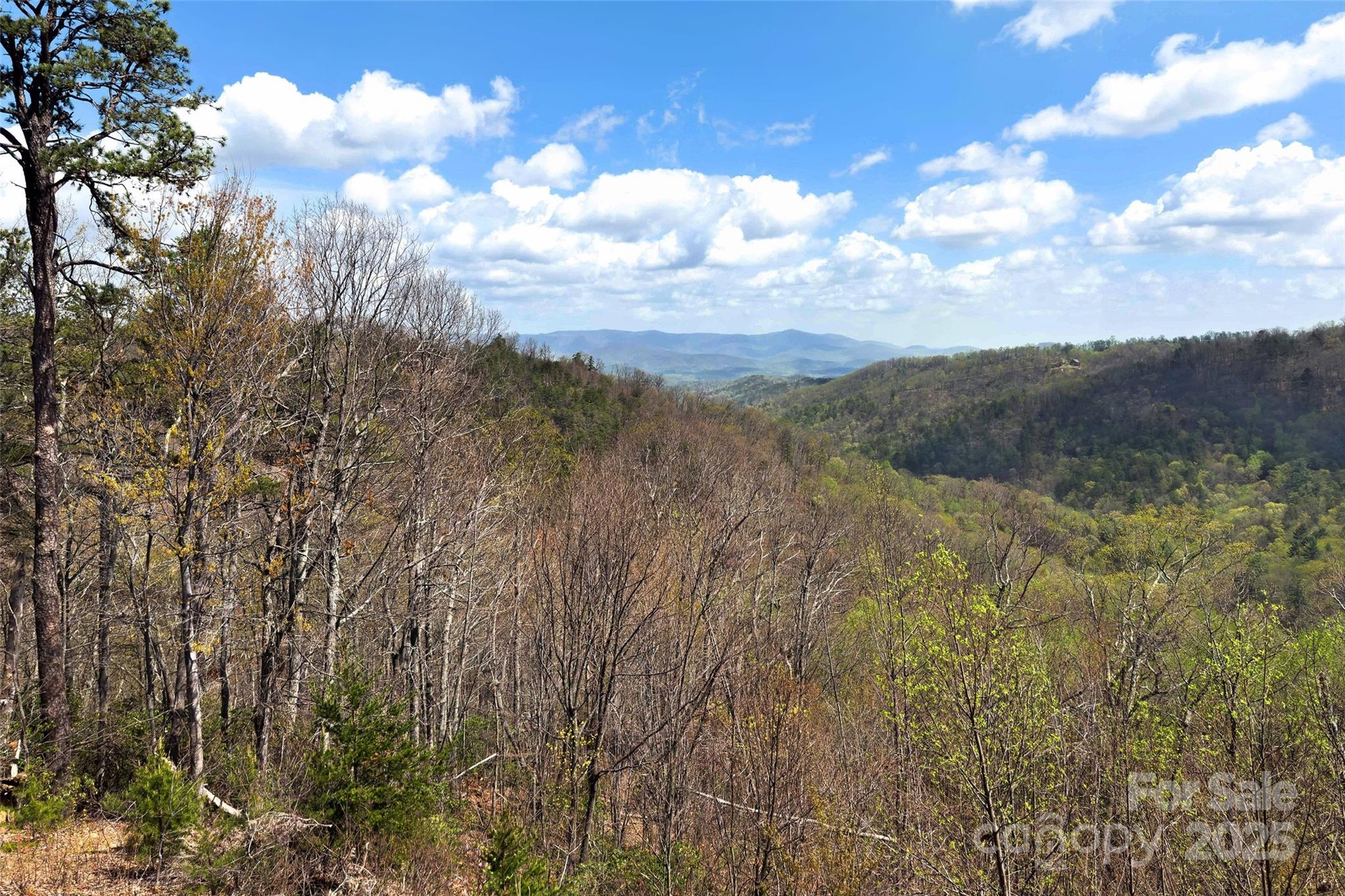 Yellowtop Mountain Estates - Residential