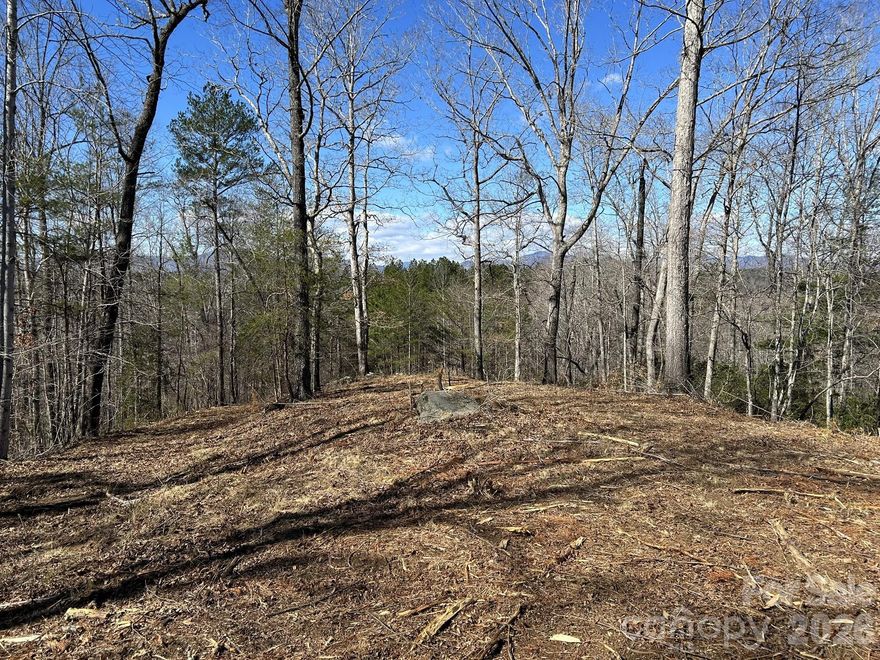 Private 6.54-acre lot in the desirable neighborhood of Hidden Hills. Hidden Hills is conveniently located to both Lake Lure & Rutherfordton and all the area has to offer. With house placement & elevation and select cutting this lot will have wonderful panoramic views. 2 separate house sites (upper & lower) have been cleared. The upper site maximizes the mountain view looking into Lake Lure. The lower site maximizes privacy but can still have a view.