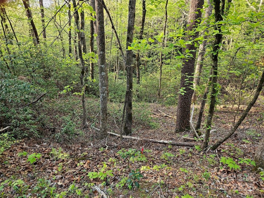 Nestled in the heart of the Rumbling Bald on Lake Lure community, Lot 54 Huntington Road offers the perfect setting for your primary home or summer retreat. Just a short golf cart ride to world-class amenities, you’ll enjoy access to 2 championship golf courses, 2 pools, a private beach, spa services, and dining options—all designed for a life of leisure and luxury. Surrounded by the natural beauty of Western North Carolina, this wooded lot provides both privacy and convenience, with nearby hiking trails and lake activities at your fingertips. Discover the charm and opportunity this property offers in one of the region's most sought-after communities!