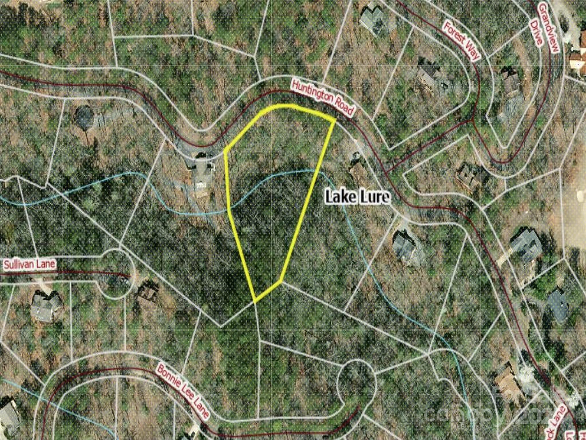 Rumbling Bald on Lake Lure - Land