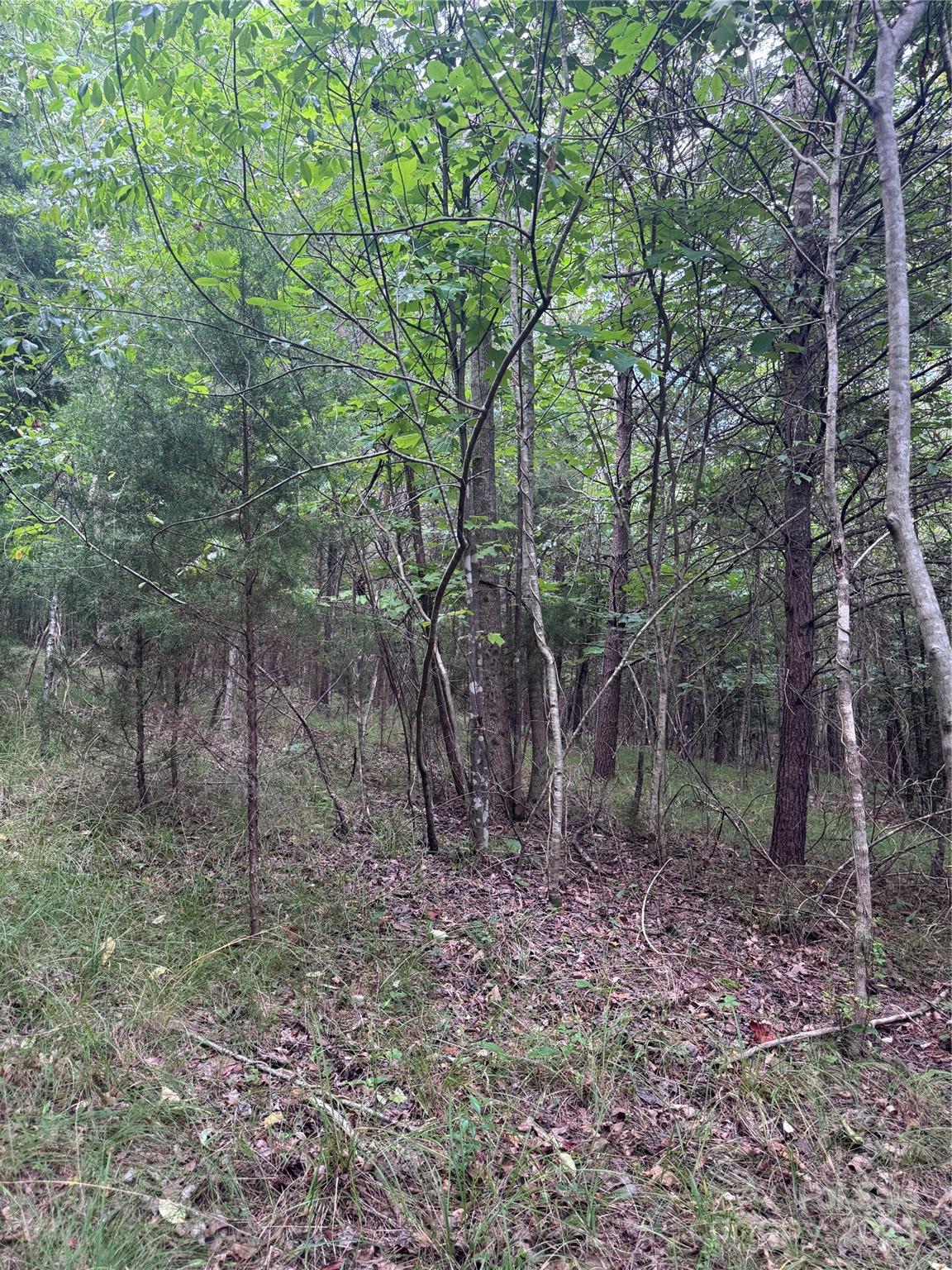 Clearwater Creek - Land