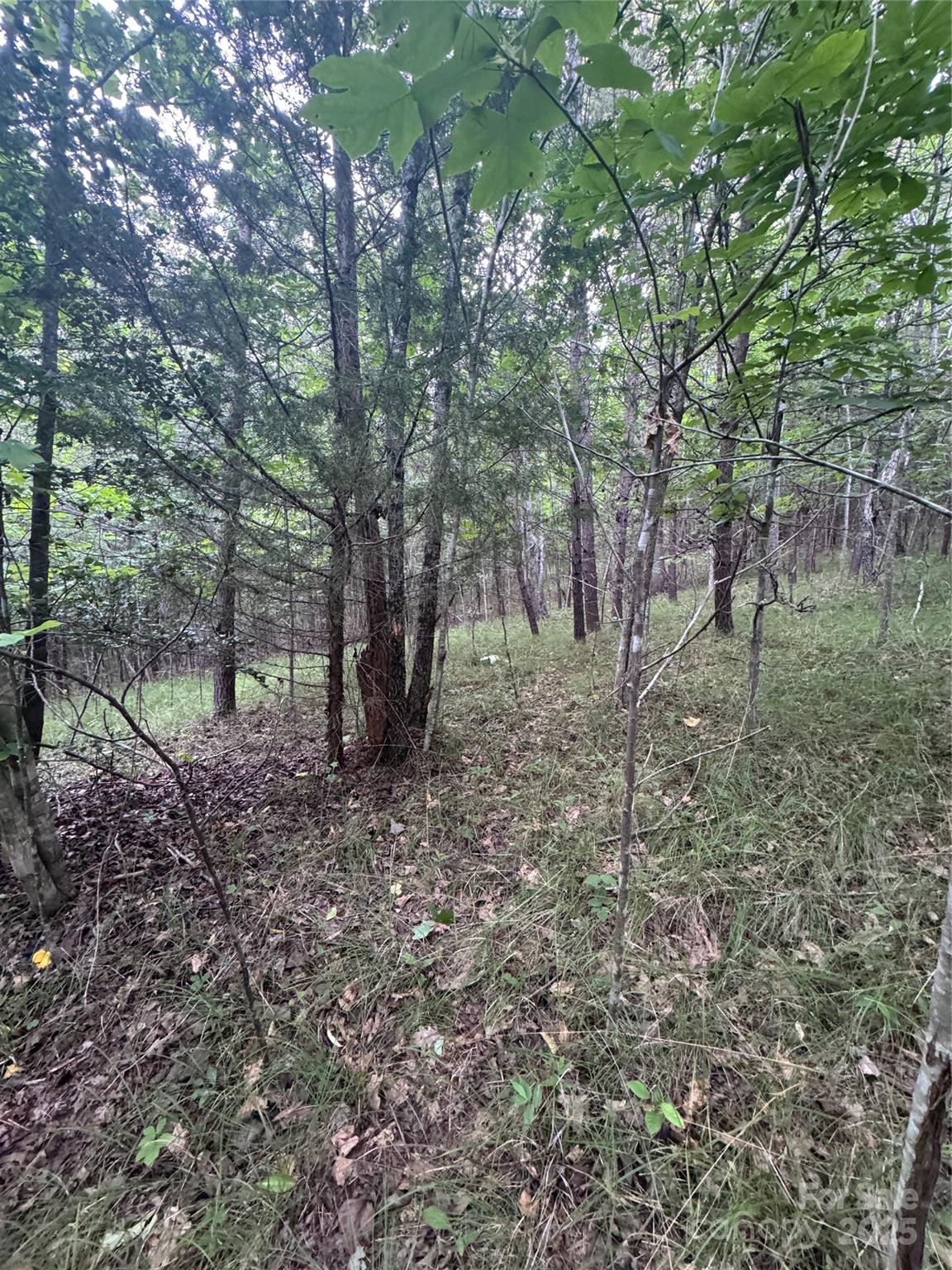 Clearwater Creek - Land