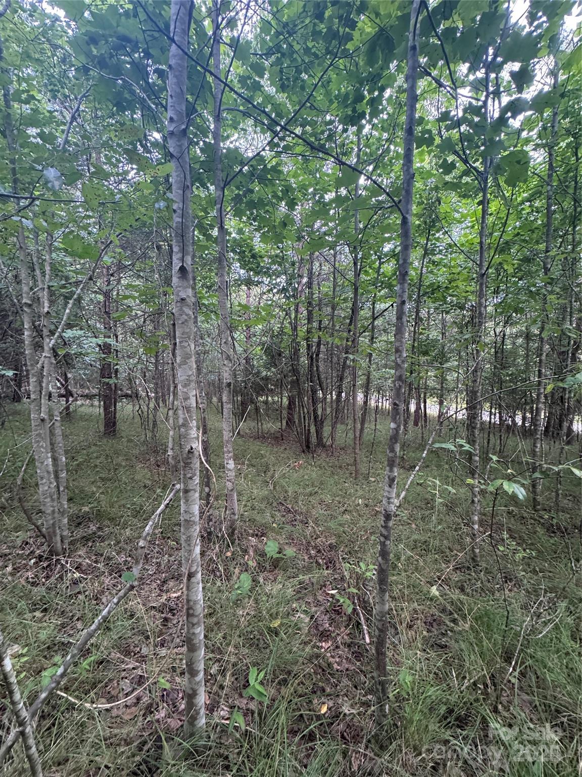 Clearwater Creek - Land