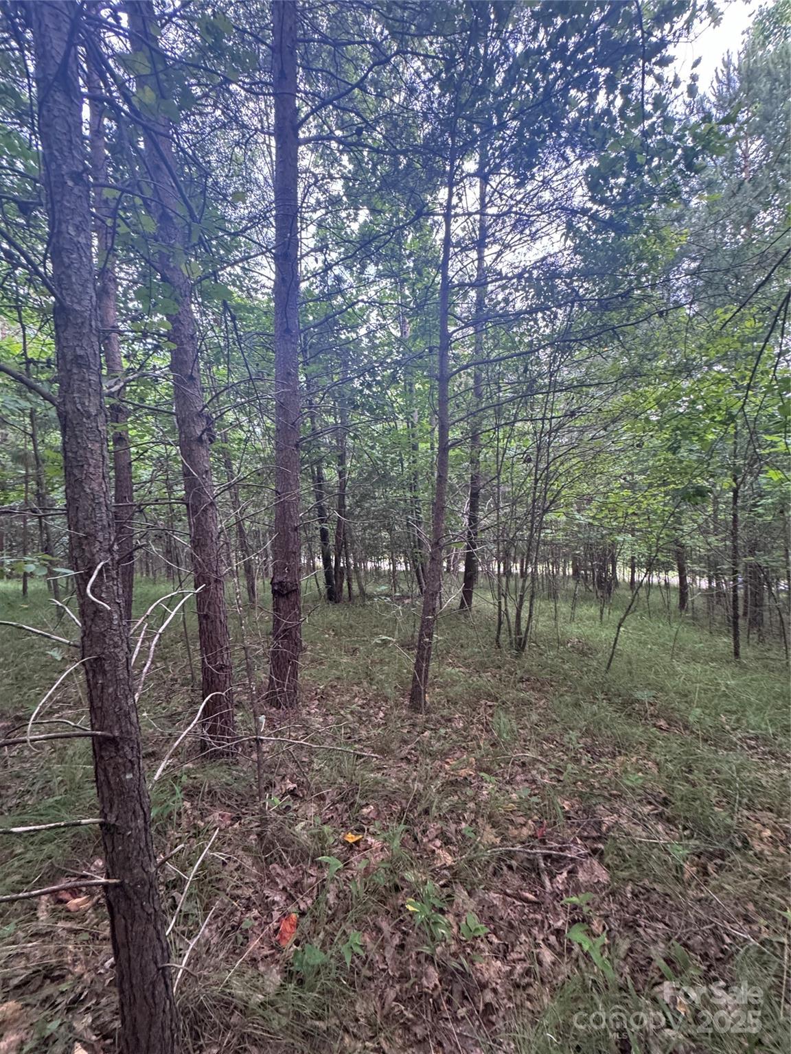 Clearwater Creek - Land