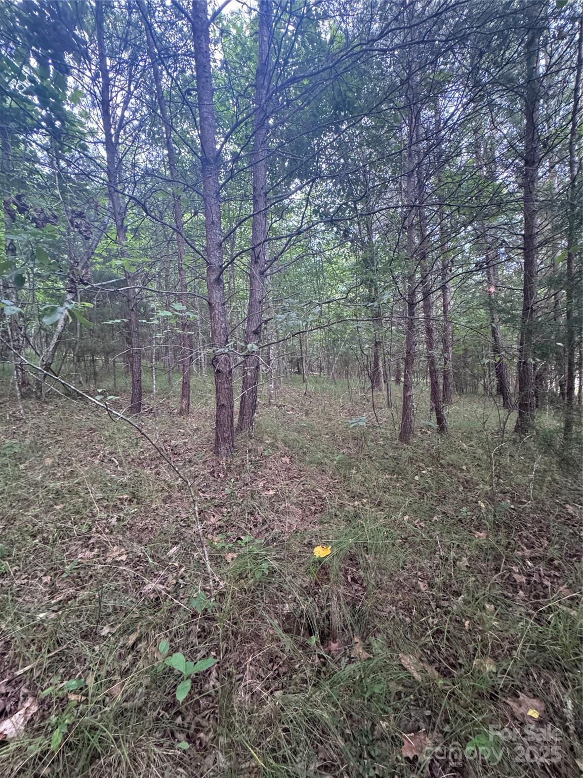 0 Cross Creek Drive 67